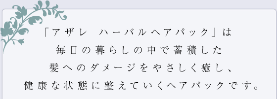 「アザレ ハーバルヘアパック」は毎日の暮らしの中で蓄積した髪へのダメージをやさしく癒し、健康な状態に整えていくヘアパックです。