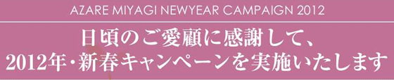 日頃のご愛顧に感謝して、2012年・新春キャンペーンを実施いたします