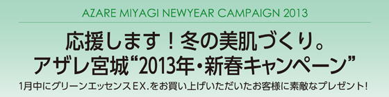 応援します!冬の美肌づくり。アザレ宮城 2013年・新春キャンペーン