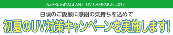 日頃のご愛顧に感謝して、2012年・新春キャンペーンを実施いたします